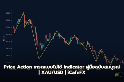 Price Action เทรดแบบไม่ใช้ Indicator คู่มือฉบับสมบูรณ์