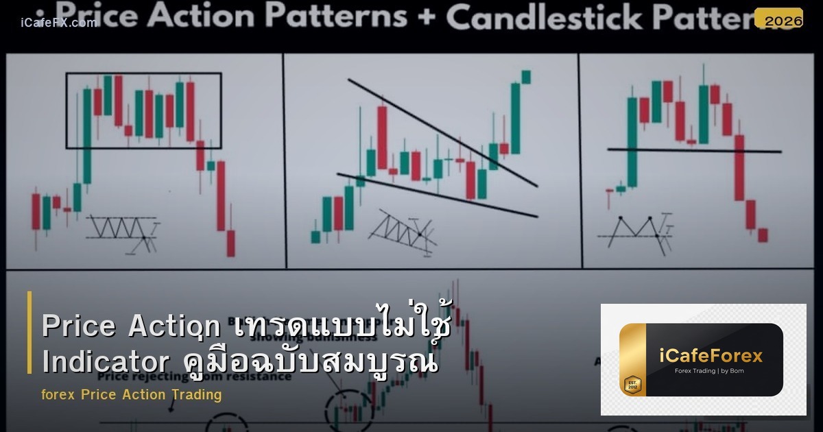 Price Action เทรดแบบไม่ใช้ Indicator คู่มือฉบับสมบูรณ์