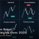 Price Action Naked คู่มือฉบับสมบูรณ์ Forex 2026