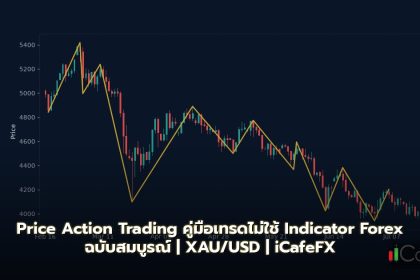 Price Action Trading คู่มือเทรดไม่ใช้ Indicator Forex ฉบับสมบูรณ์