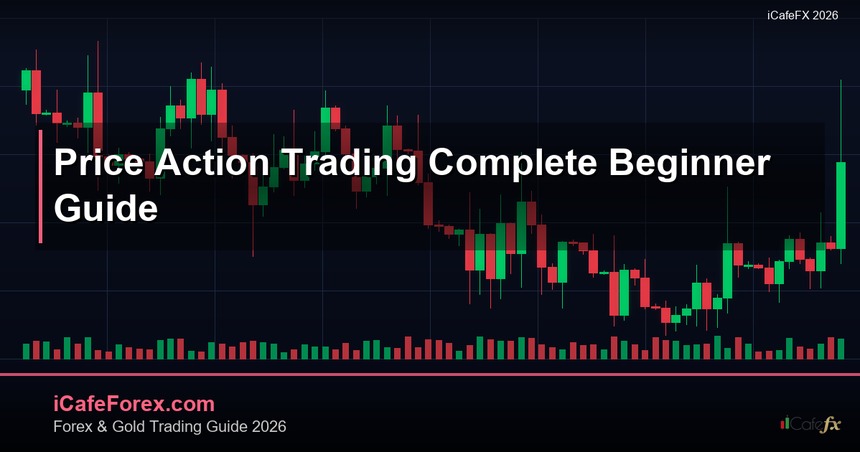 Price Action Trading คู่มือเทรดไม่ใช้ Indicator Forex ฉบับสมบูรณ์
