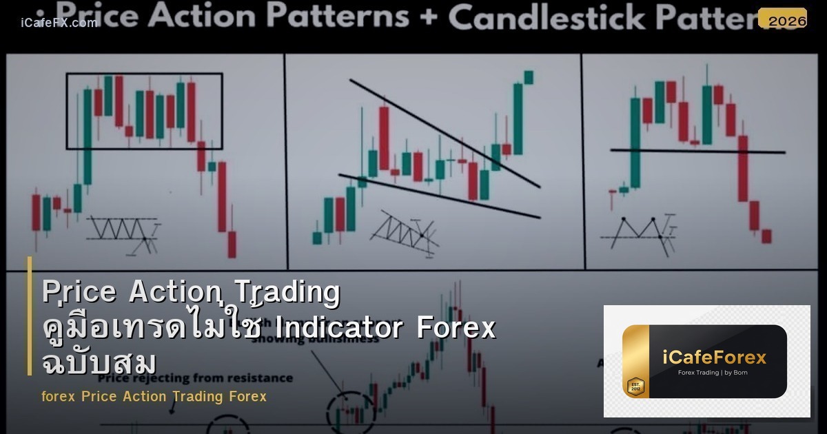 Price Action Trading คู่มือเทรดไม่ใช้ Indicator Forex ฉบับสมบูรณ์