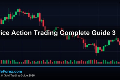 Price Action Trading คู่มือเทรด Forex ด้วย Price Action ฉบับสมบูรณ์