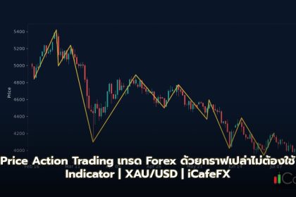Price Action Trading เทรด Forex ด้วยกราฟเปล่าไม่ต้องใช้ Indicator