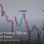 Price Action Trading วิธีอ่าน Naked Chart Forex