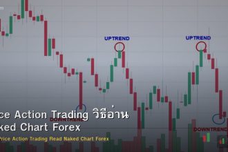 Price Action Trading วิธีอ่าน Naked Chart เทรด Forex
