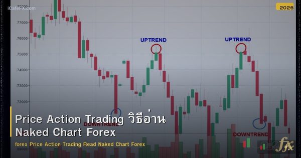 Price Action Trading วิธีอ่าน Naked Chart Forex