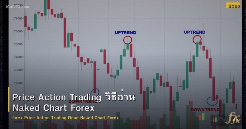 Price Action Trading วิธีอ่าน Naked Chart Forex