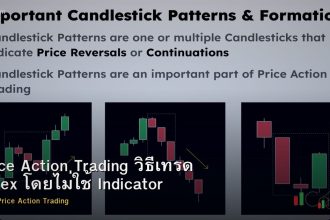 Price Action Trading วิธีเทรด Forex โดยไม่ใช้ Indicator