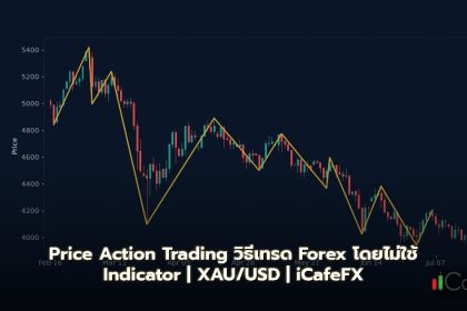 Price Action Trading วิธีเทรด Forex โดยไม่ใช้ Indicator