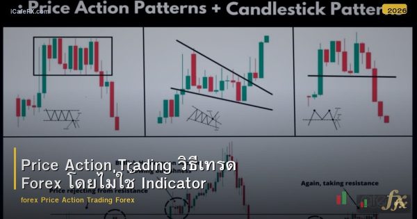 Price Action Trading วิธีเทรด Forex โดยไม่ใช้ Indicator