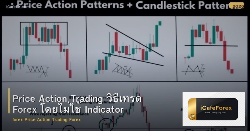 Price Action Trading วิธีเทรด Forex โดยไม่ใช้ Indicator