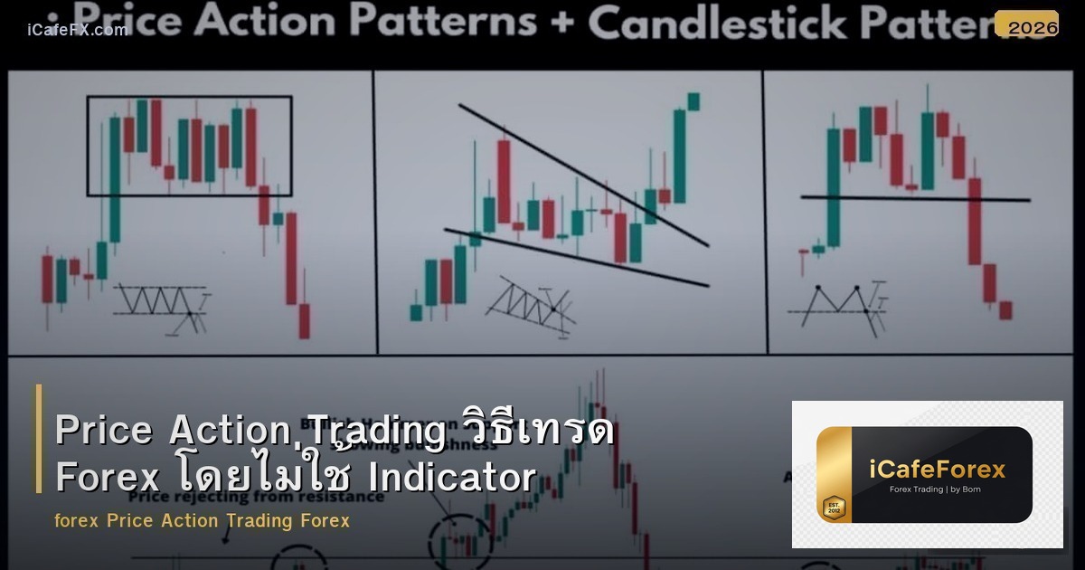 Price Action Trading วิธีเทรด Forex โดยไม่ใช้ Indicator