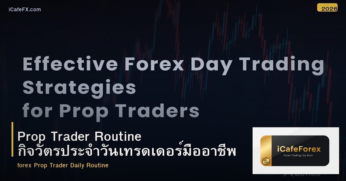Prop Trader Routine กิจวัตรประจำวันเทรดเดอร์มืออาชีพ