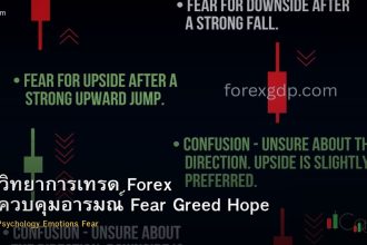 จิตวิทยาการเทรด Forex วิธีควบคุมอารมณ์ Fear Greed Hope