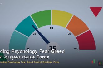 Trading Psychology Fear Greed วิธีควบคุมอารมณ์ Forex
