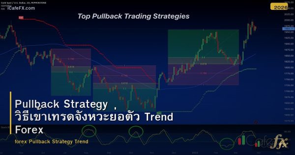 Pullback Strategy วิธีเข้าเทรดจังหวะย่อตัว Trend Forex