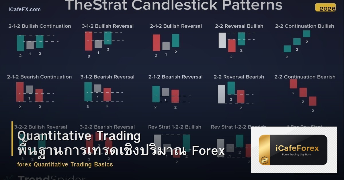 Quantitative Trading พื้นฐานการเทรดเชิงปริมาณ Forex