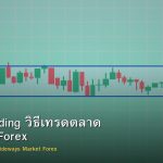 Range Trading วิธีเทรดตลาด Sideways Forex