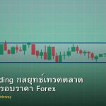 Range Trading กลยุทธ์เทรดตลาด Sideway กรอบราคา Forex
