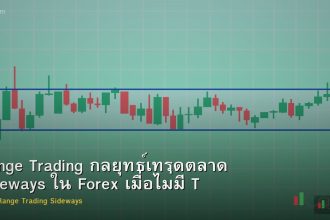 Range Trading กลยุทธ์เทรดตลาด Sideways ใน Forex เมื่อไม่มี Trend