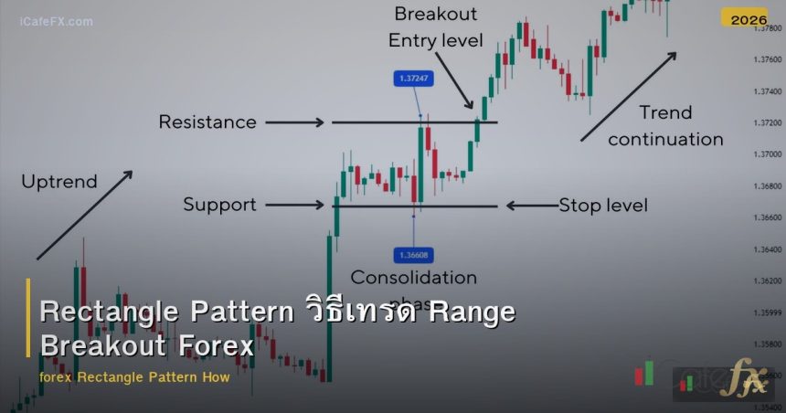 Rectangle Pattern วิธีเทรด Range Breakout Forex