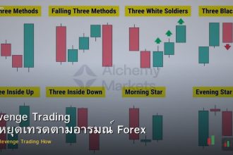 Revenge Trading วิธีหยุดเทรดตามอารมณ์ Forex