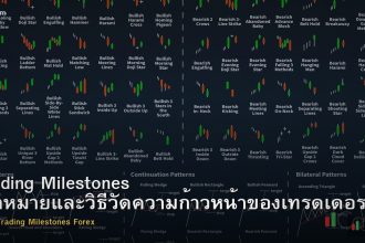 Trading Milestones เป้าหมายและวิธีวัดความก้าวหน้าของเทรดเดอร์ Forex