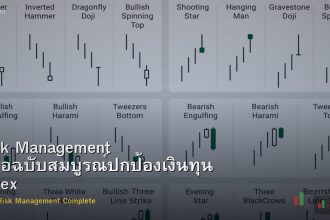 Risk Management คู่มือฉบับสมบูรณ์ปกป้องเงินทุน Forex
