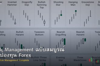 Risk Management ฉบับสมบูรณ์ ปกป้องทุน Forex