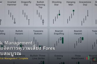 Risk Management คู่มือจัดการความเสี่ยง Forex ฉบับสมบูรณ์