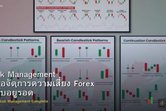 Risk Management คู่มือจัดการความเสี่ยง Forex ฉบับอยู่รอด