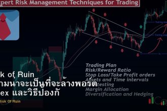 Risk of Ruin ความน่าจะเป็นที่จะล้างพอร์ต Forex และวิธีป้องกัน