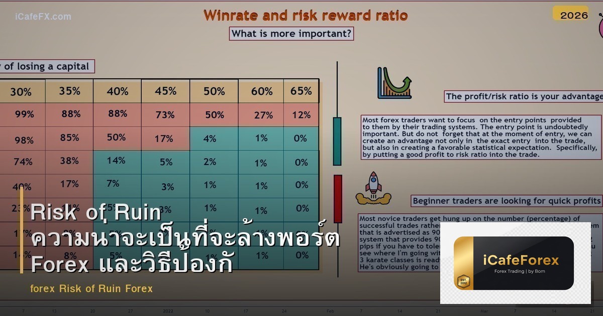 Risk of Ruin ความน่าจะเป็นที่จะล้างพอร์ต Forex และวิธีป้องกัน