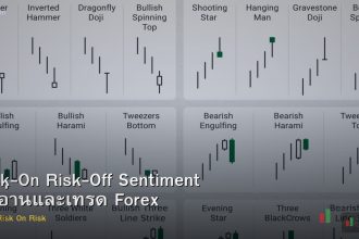 Risk-On Risk-Off Sentiment วิธีอ่านและเทรด Forex