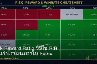 Risk Reward Ratio วิธีใช้ R:R เพิ่มกำไรระยะยาวใน Forex