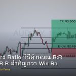 Risk Reward Ratio วิธีคำนวณ R:R และทำไม R:R สำคัญกว่า Win Rate