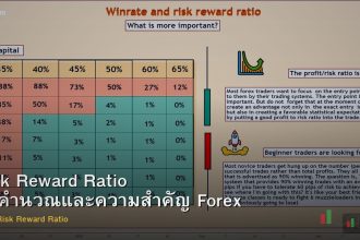 Risk Reward Ratio วิธีคำนวณและความสำคัญ Forex
