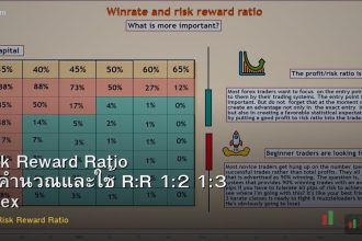 Risk Reward Ratio วิธีคำนวณและใช้ R:R 1:2 1:3 Forex