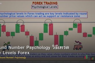 Round Number Psychology วิธีเทรด Key Levels Forex