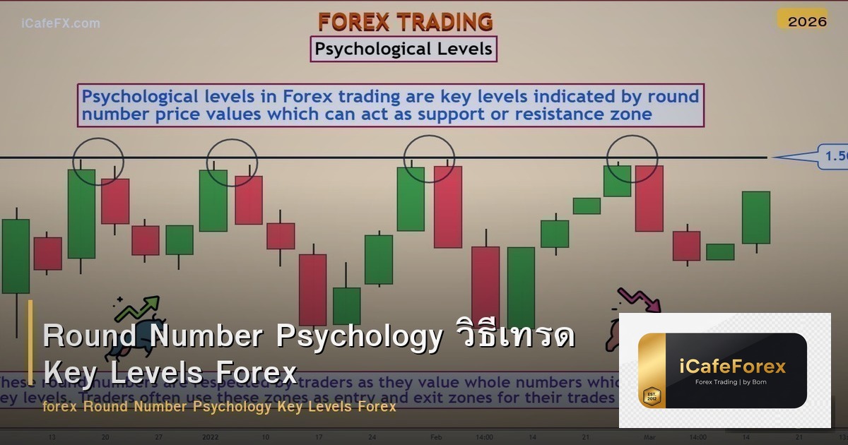 Round Number Psychology วิธีเทรด Key Levels Forex