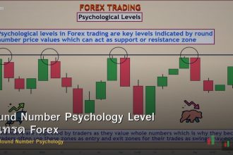 Round Number Psychology Level วิธีเทรด Forex