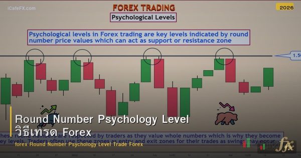 Round Number Psychology Level วิธีเทรด Forex