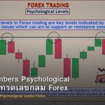 Round Numbers Psychological Levels วิธีเทรดเลขกลม Forex