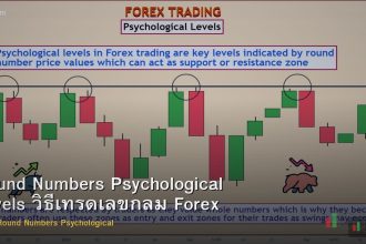Round Numbers Psychological Levels วิธีเทรดเลขกลม Forex