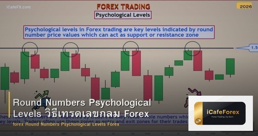 Round Numbers Psychological Levels วิธีเทรดเลขกลม Forex