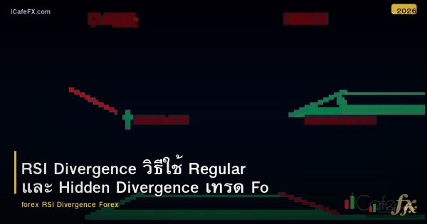 RSI Divergence วิธีใช้ Regular และ Hidden Divergence เทรด Forex