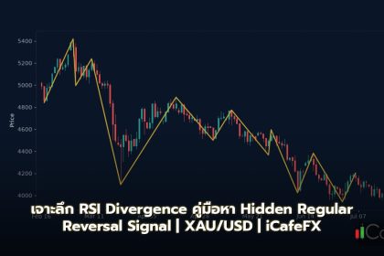 RSI Divergence วิธีหา Hidden Regular Reversal Signal Forex