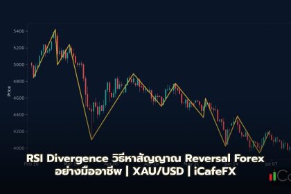 RSI Divergence วิธีหาสัญญาณ Reversal Forex