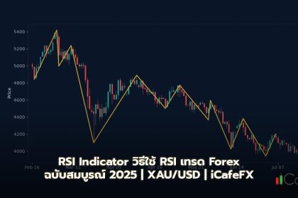 RSI Indicator วิธีใช้ RSI เทรด Forex ฉบับสมบูรณ์ 2025